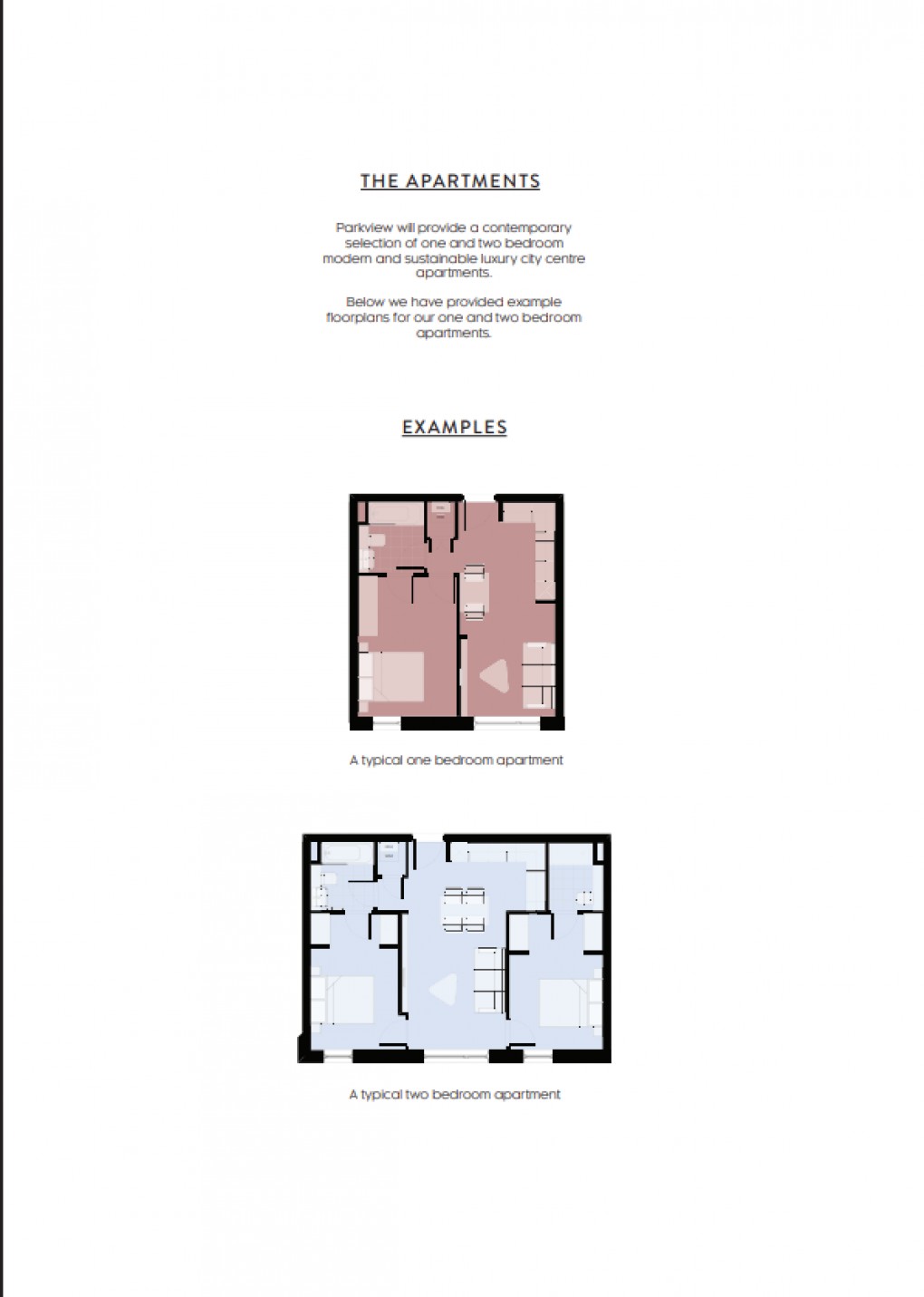 Floorplan for Darwin Street, Birmingham