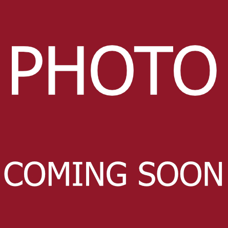 Edward Bache, Senior Lettings Consultant